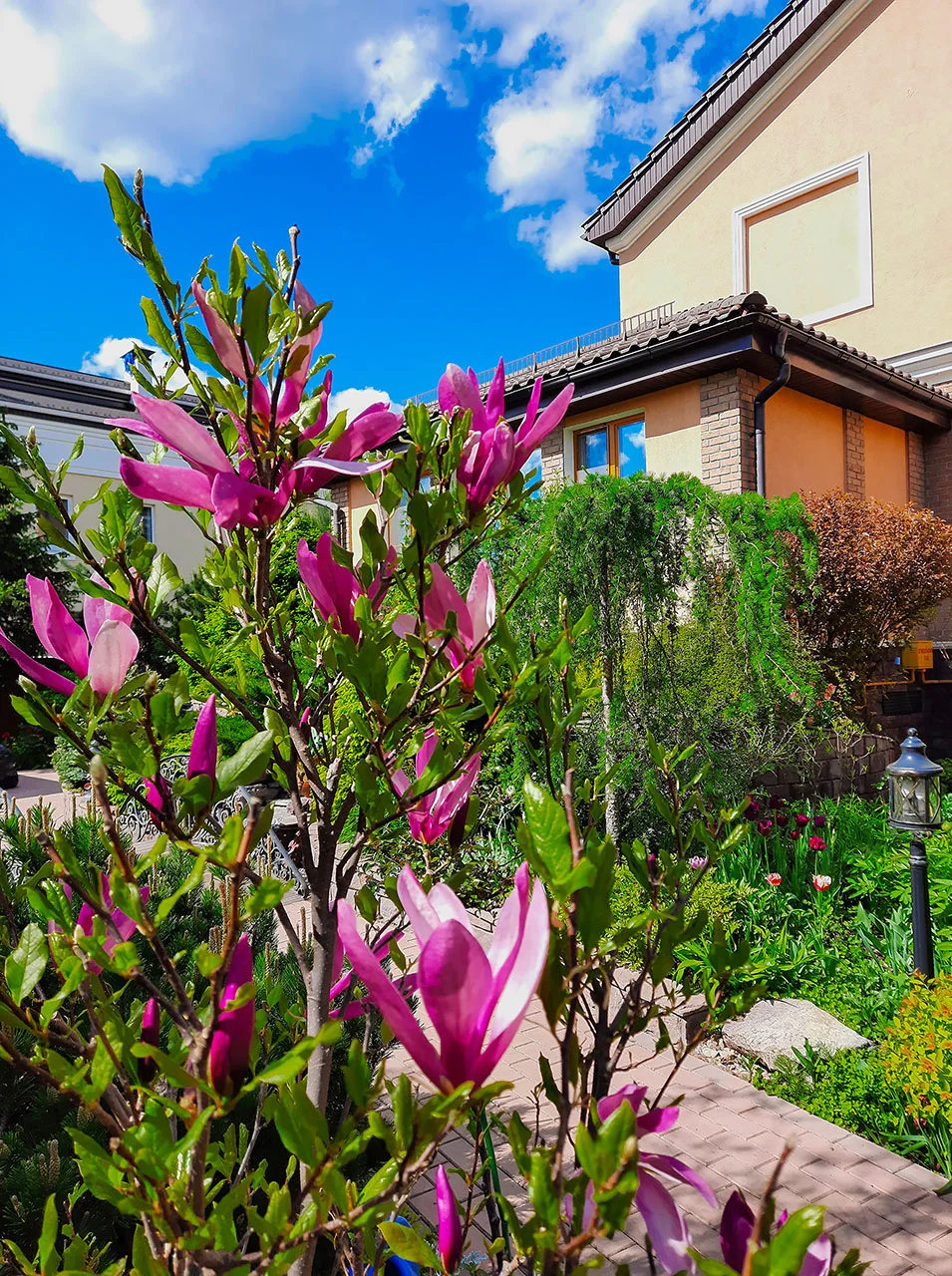 Проект Рубин Эстейт